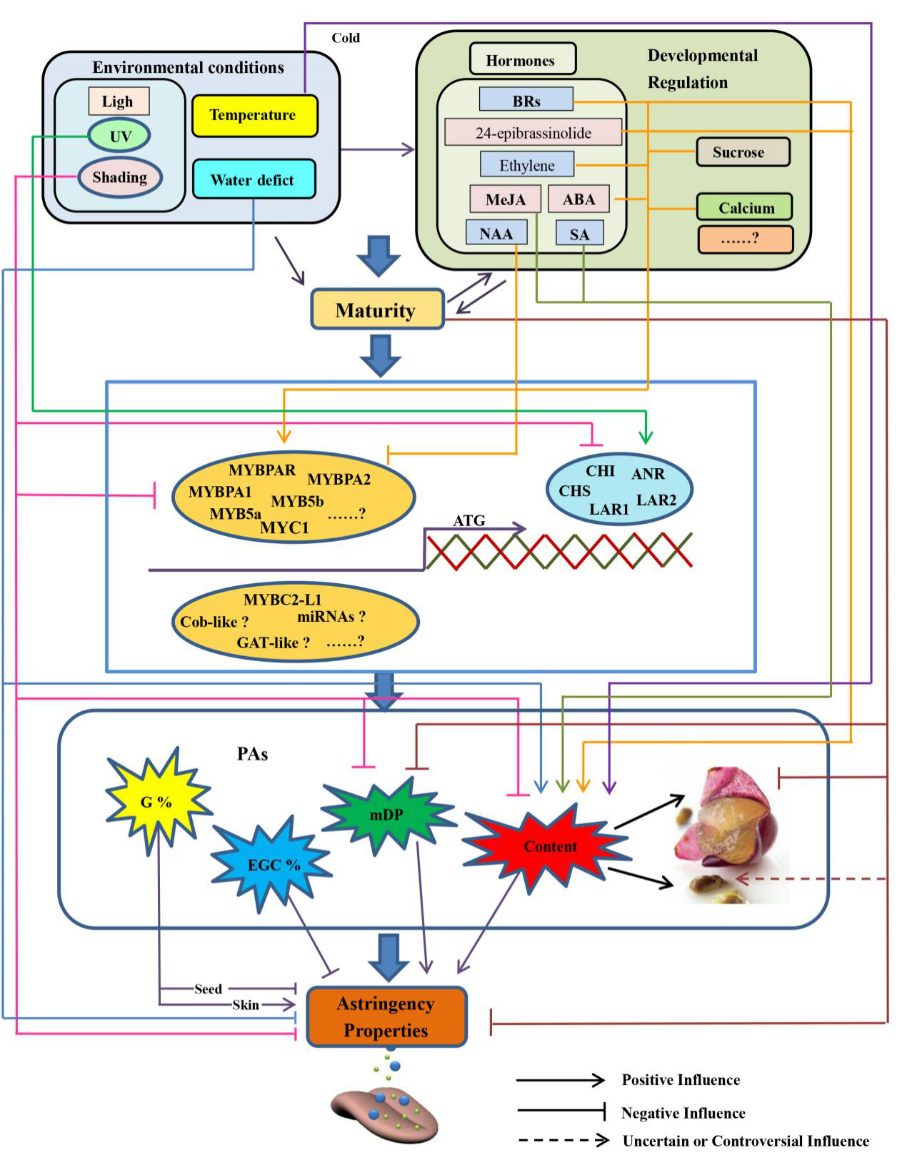 b70e9220d88b4edab7b36f7fe3a7021b.png b70e9220d88b4edab7b36f7fe3a7021b.png