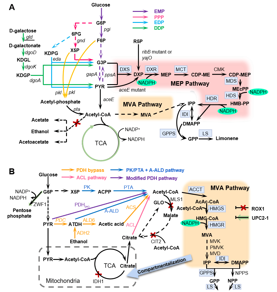 f3debda0b5354f989cdc1ef7c0264171.png f3debda0b5354f989cdc1ef7c0264171.png