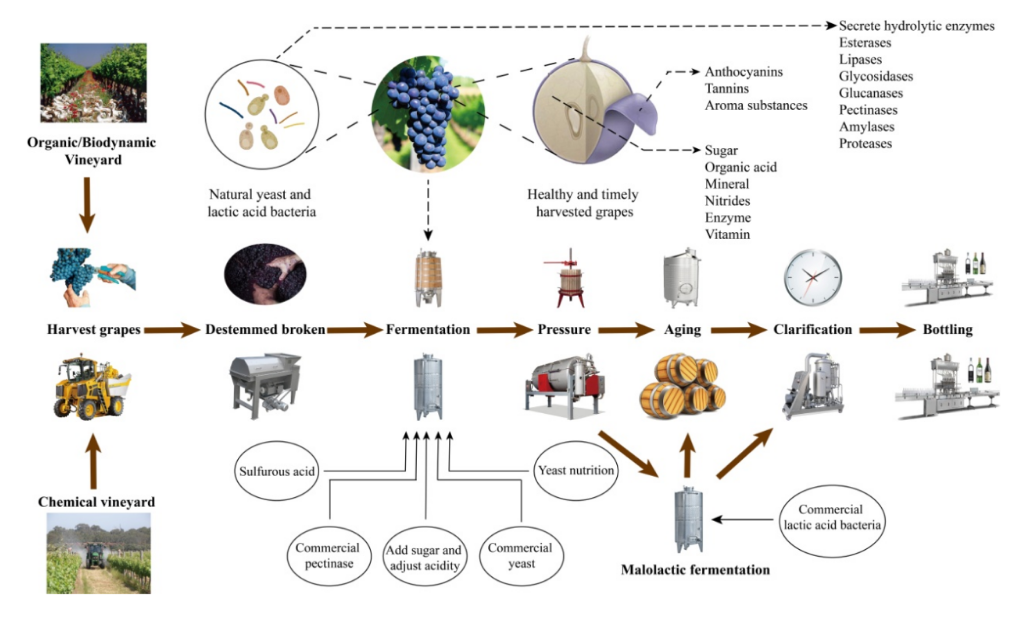 172eb8033ae24b9a8dcb64303ce4e544.png 172eb8033ae24b9a8dcb64303ce4e544.png